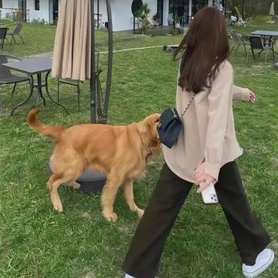 美国式犯罪